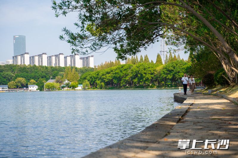 在烈士公園湖畔的步道上，市民沿道漫步,，欣賞風(fēng)景,。