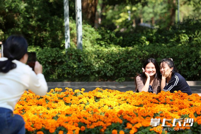 今日,，市民紛紛來到湖南烈士公園游園散心,、賞景打卡,，樂享秋陽的溫馨。 均為長沙晚報全媒體記者賀文兵攝