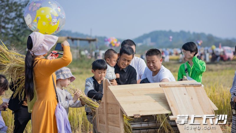 游客朋友參加摸魚,、扮禾活動，體驗勞作的樂趣,，收獲豐收的滿足,。長沙晚報全媒體記者 張禹 通訊員 唐柏林 攝影報道