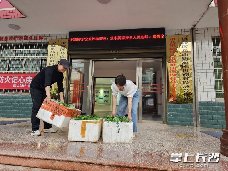 張?zhí)m芳（左）扎根望城團(tuán)山湖10多年,，將小小的辣椒苗發(fā)展到了6家基地，年產(chǎn)種苗5000多萬株的大產(chǎn)業(yè),。均為受訪者供圖