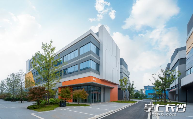 長沙中電智造園,。均為長沙晚報通訊員 章帝 攝