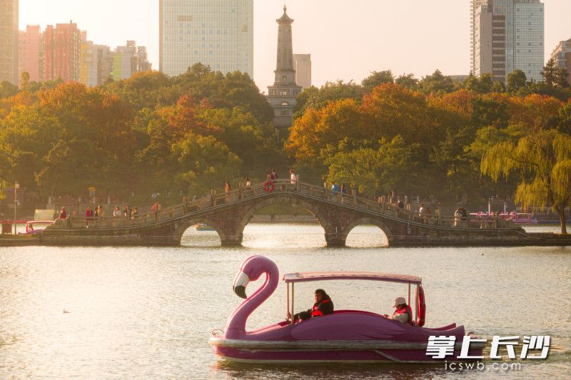 遠處是湖南烈士公園紀念碑，近處年嘉湖上人們乘著天鵝船泛舟而游,，烈士公園內十分熱鬧。均為長沙晚報全媒體記者 劉曉敏 攝