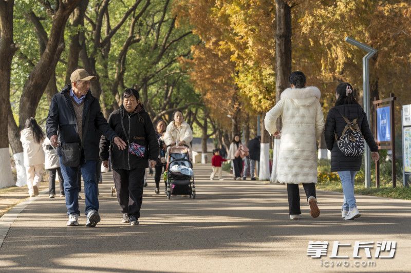 在湖南烈士公園,，四處都是曬太陽(yáng)的市民,，人們?cè)陉?yáng)光下漫步。 均為長(zhǎng)沙晚報(bào)全媒體記者周數(shù)邑?cái)z