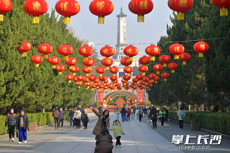 今日上午,，湖南烈士公園南門(mén),，大紅燈籠高掛，市民游客在燈籠下開(kāi)心拍照,。 均為長(zhǎng)沙晚報(bào)全媒體記者 王志偉 實(shí)習(xí)生 羅新月 攝影報(bào)道