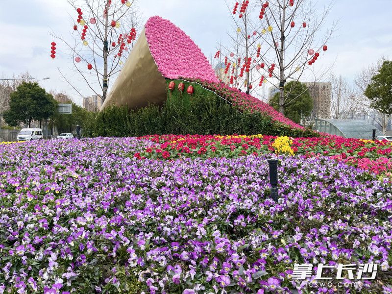 杜花路口“芙蓉國(guó)里盡朝暉”主題花束造型花雕,。