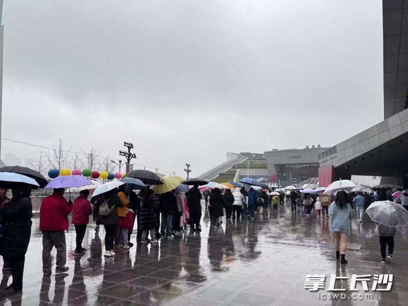 正月初三,，長沙博物館外排隊的盛況,。 長沙晚報通訊員 劉瑜 供圖