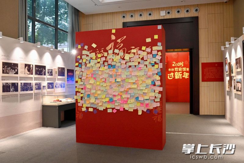 展館現(xiàn)場,。 均為長沙晚報通訊員傅力興供圖