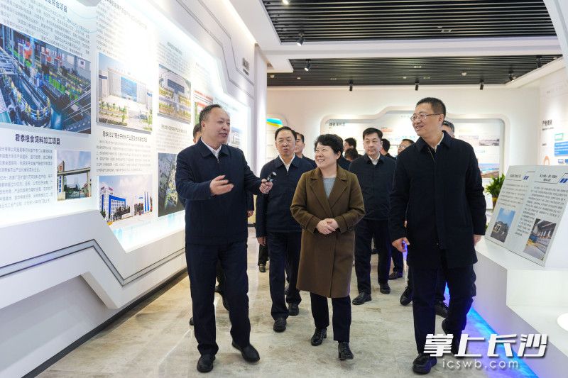 城陵磯新港區(qū)規(guī)劃展廳,。