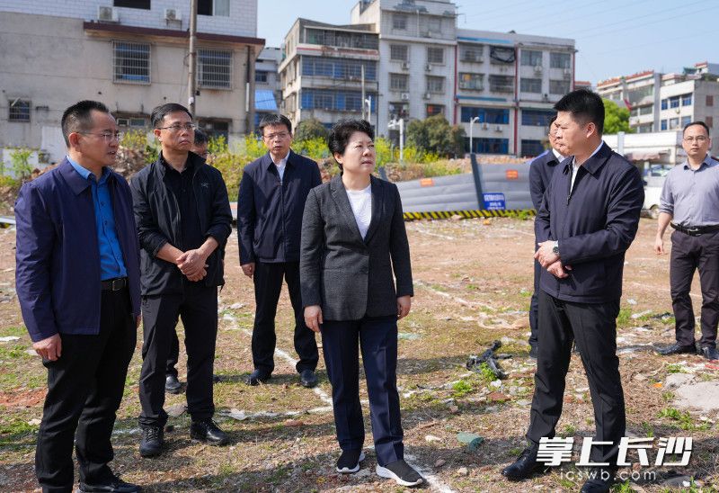 吳桂英“四不兩直”檢查省植物園周邊環(huán)境整治情況。均為長(zhǎng)沙晚報(bào)全媒體記者郭雨滴攝