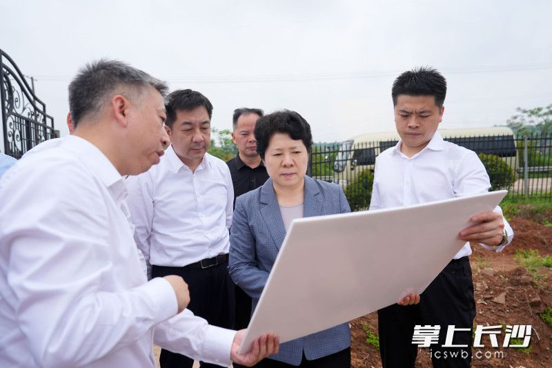 花卉園藝產業(yè)融合發(fā)展示范園項目調研現場,。均為長沙晚報全媒體記者 郭雨滴 攝