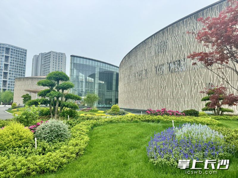 隆平水稻博物館前坪,，藏在稻田邊的春日詩(shī)行。