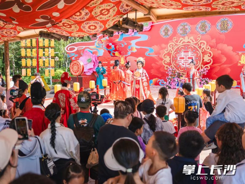 長沙方特·東方神畫五一假期間吸引游客4.5萬人次,。 均為受訪方供圖