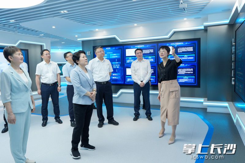 湖南泛聯(lián)新安信息科技有限公司調(diào)研現(xiàn)場(chǎng),。