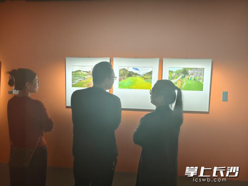 展覽現(xiàn)場 均為長沙晚報全媒體記者 寧莎鷗 攝