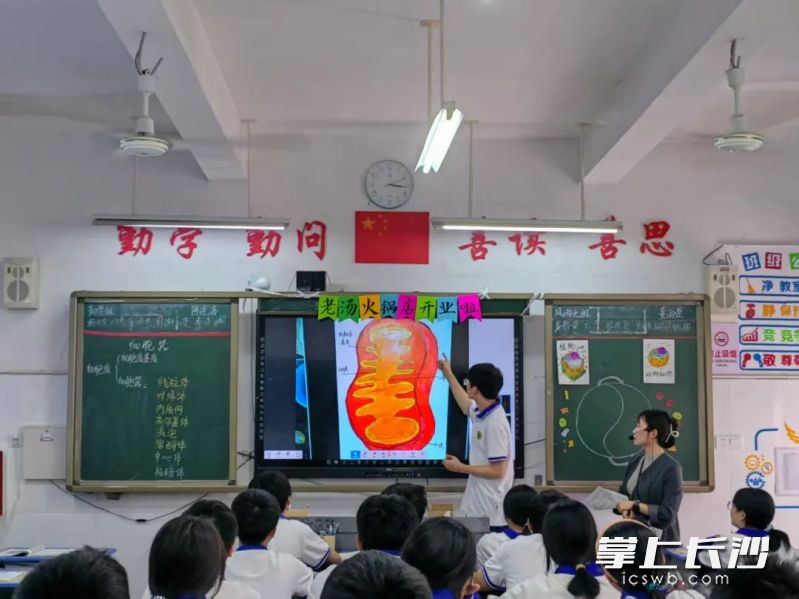 課堂創(chuàng)新實踐讓“151”模式真正落地為可觸摸的教學(xué)變革,。