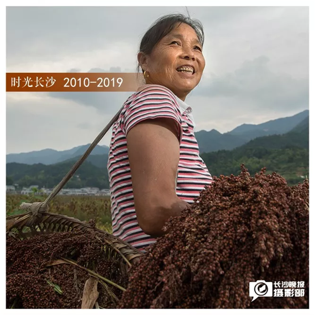 2018年9月12日,，今年60歲的李伍香，家就在官山村,，每天早上等露水褪去后。她和伙伴們就開始跟著高粱收割機在一旁撿高粱穗,。每天工作八小時,，午飯由尹家解決，每天可以撿到100斤左右的高粱