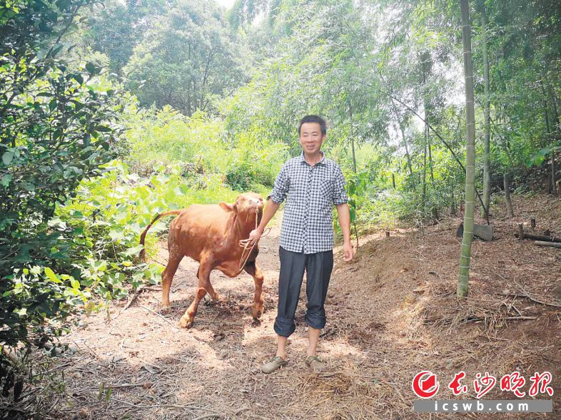 貧困戶岳偉靠著扶貧貸款走上了養(yǎng)殖脫貧致富路,。