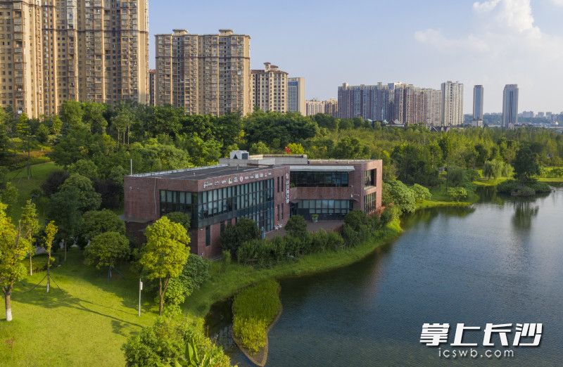 和加共享圖書館