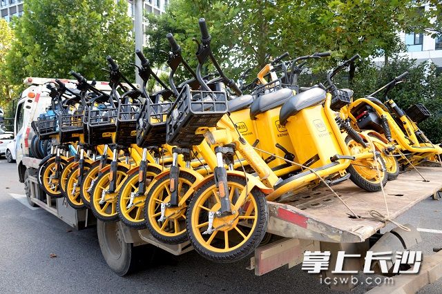 此次行動共清理共享單車,、共享電單車100多輛。吳夢珊 攝