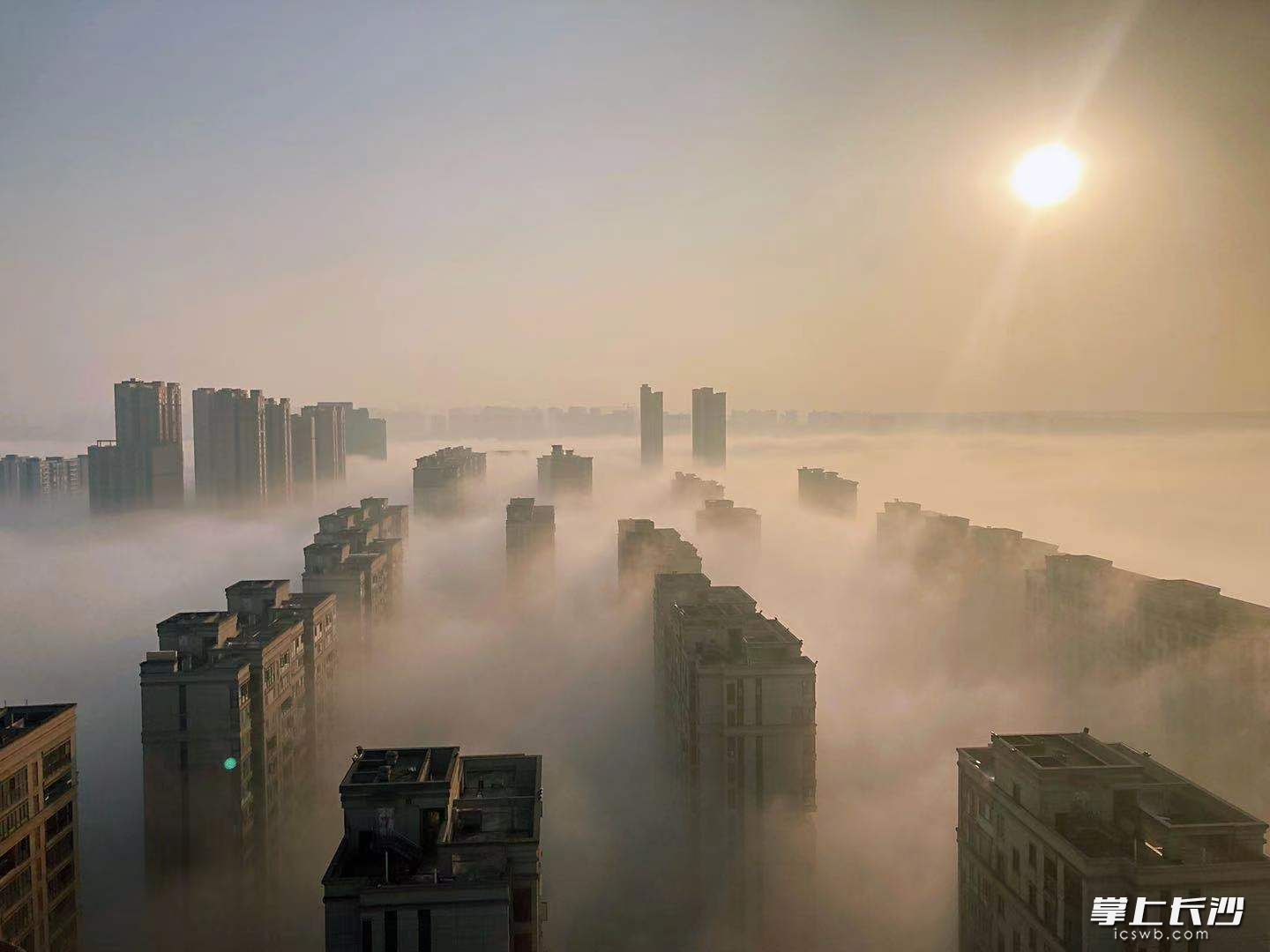 今晨，大霧中的洋湖仿佛仙境,。網(wǎng)友“蒼山大灰兔”攝
