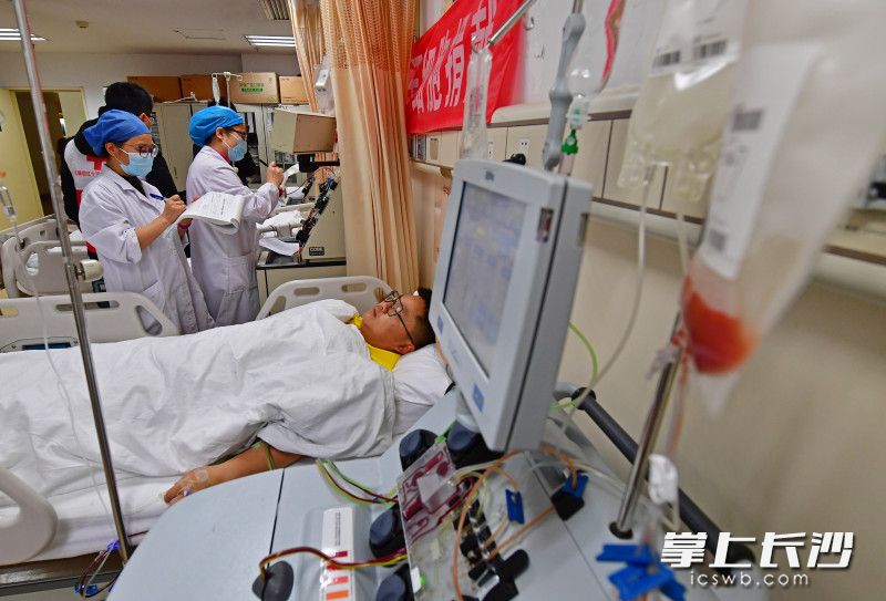 3月1日,，中華骨髓庫湖南分庫開展牛年首次捐獻(xiàn),，共有6名志愿者同時(shí)采集造血干細(xì)胞。其中,，劉助旺等4人在中南大學(xué)湘雅醫(yī)院采集,。長沙晚報(bào)全媒體記者 王志偉 攝