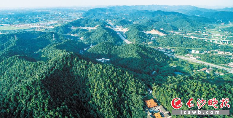 長株潭城市群生態(tài)綠心區(qū)域位于三市結(jié)合部,，規(guī)劃作為“生態(tài)文明樣板區(qū),、湖湘文化展示區(qū)、兩型社會創(chuàng)新窗口,、城鄉(xiāng)統(tǒng)籌試驗(yàn)平臺”,，為城市群發(fā)揮“綠肺”功能。圖為生態(tài)保護(hù)良好的城市“綠心”暮云片區(qū),。長沙晚報全媒體記者 黃啟晴 攝