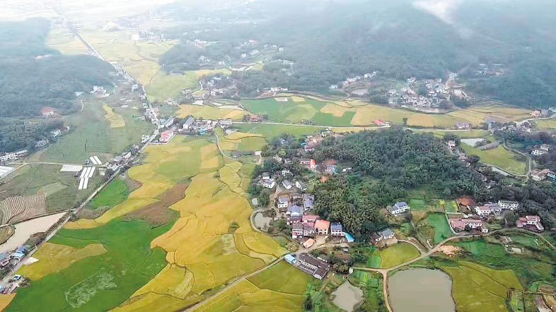 如今的繁榮村，山青水秀,，一片生機勃勃,。　　繁榮村供圖