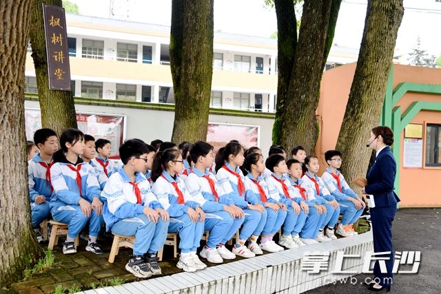 4月23日,，高新區(qū)楓樹小學“楓樹講堂”開課啦！
