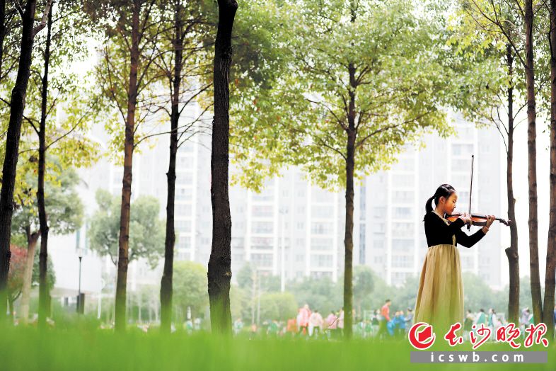 美麗的校園內，幸福的孩子正在演奏小提琴,。