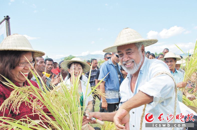 中國種業(yè)硅谷”帶動國內(nèi)外5500家農(nóng)業(yè)企業(yè)從事種業(yè)相關(guān)產(chǎn)業(yè),，承擔(dān)國家對外援助項目25項,。