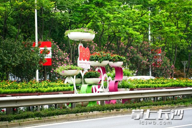 高新區(qū)還在重要交通節(jié)點(diǎn)種植了孔雀草、雞冠花,、夏堇,、鳳仙花等令花卉約45萬(wàn)株。