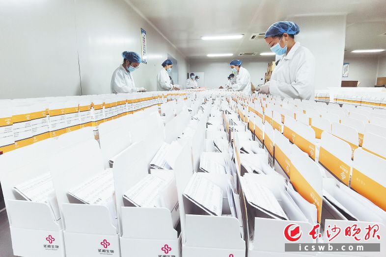 圣湘生物所有生產(chǎn)線滿負(fù)荷運(yùn)作，目前新冠核酸檢測(cè)試劑產(chǎn)能可達(dá)300萬(wàn)人份/天。長(zhǎng)沙晚報(bào)通訊員 尹婷攝