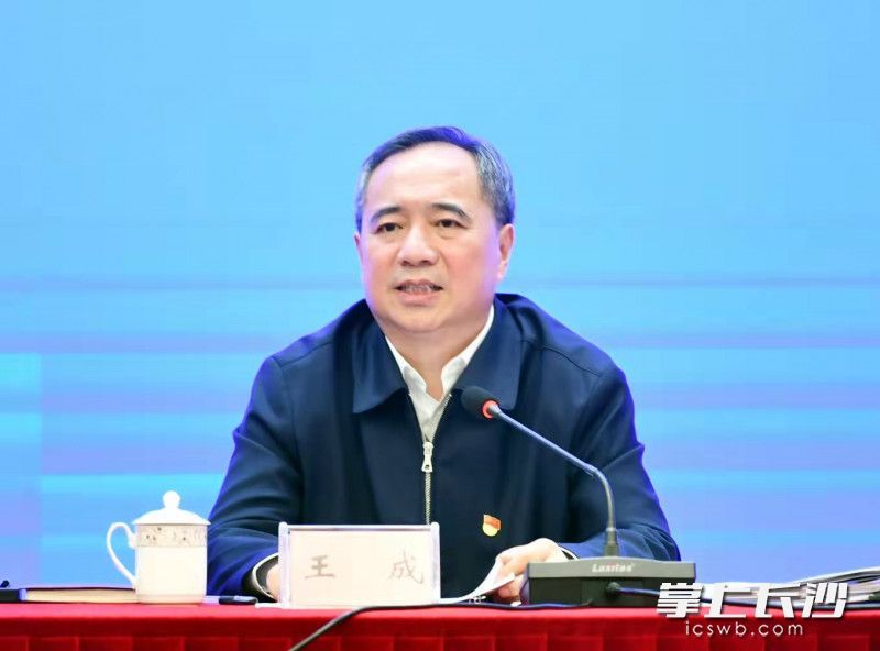 全省抓黨建促鄉(xiāng)村振興會議在瀏陽市召開，省委常委,、省委組織部部長王成出席并講話,。 長沙晚報通訊員湯偉 攝