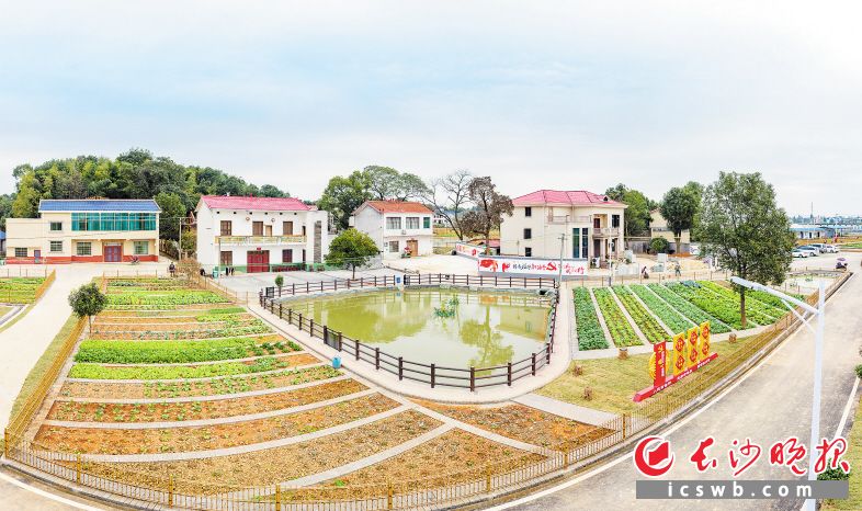 長(zhǎng)沙全域開(kāi)展美麗宜居村莊創(chuàng)建,，全市共申報(bào)備案美麗宜居村莊955個(gè)，目前已建成395個(gè),。圖為望城區(qū)靖港鎮(zhèn)的美麗屋場(chǎng),。長(zhǎng)沙晚報(bào)全媒體記者 陳飛 攝