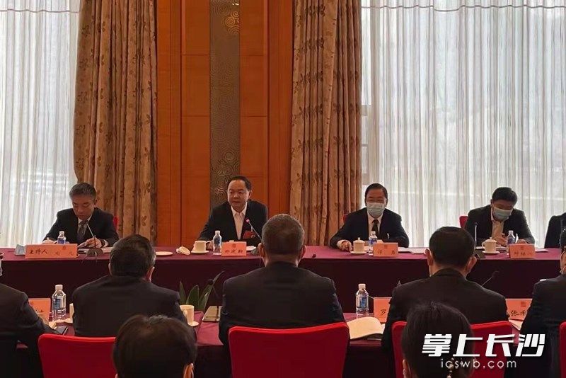 鄭建新參加岳麓區(qū)代表團審議