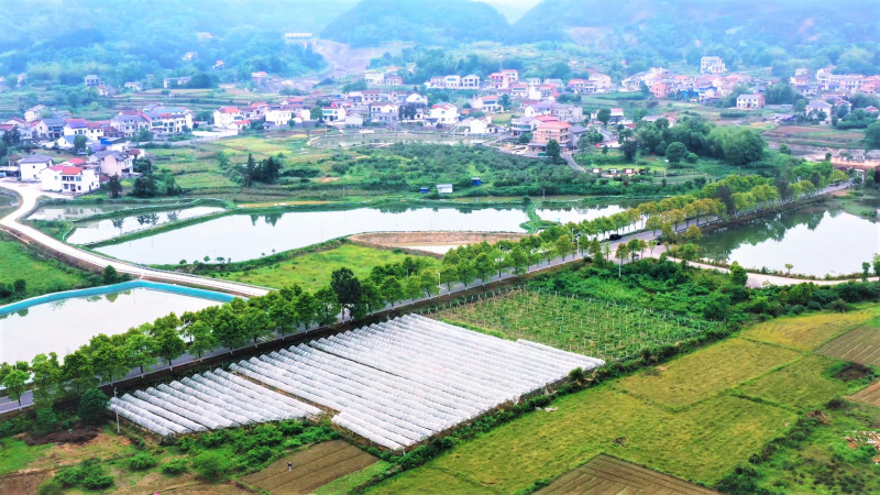 新橫黃公路集交通,、生態(tài)、旅游,、景觀于一體,，實(shí)現(xiàn)了路、景,、業(yè),、人的和諧發(fā)展。長沙晚報(bào)全媒體記者 張禹 通訊員 青百宇 攝影報(bào)道