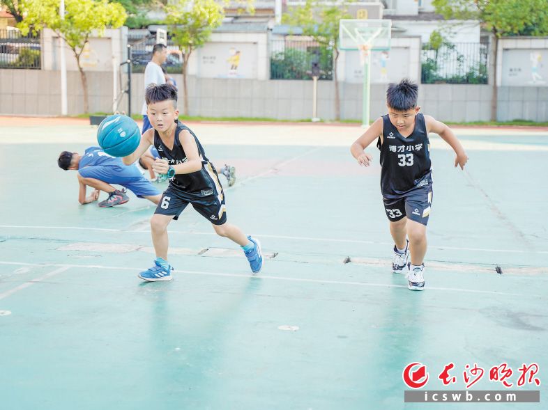 暑假，博才小學(xué)的籃球隊(duì)員正在學(xué)校進(jìn)行運(yùn)球訓(xùn)練,。長沙晚報(bào)全媒體記者 馮啟陽 攝