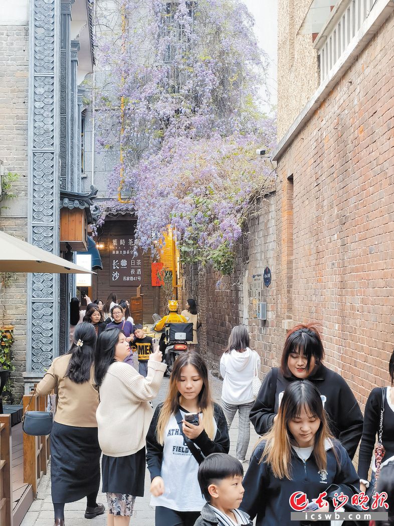 豐泉古井社區(qū)處處有美景,，吸引不少游客前來打卡?！　￠L沙晚報(bào)通訊員 風(fēng)泉 攝