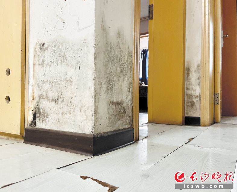 與衛(wèi)生間相鄰的墻體因滲水發(fā)黑,，部分地板邊緣翹起,。
