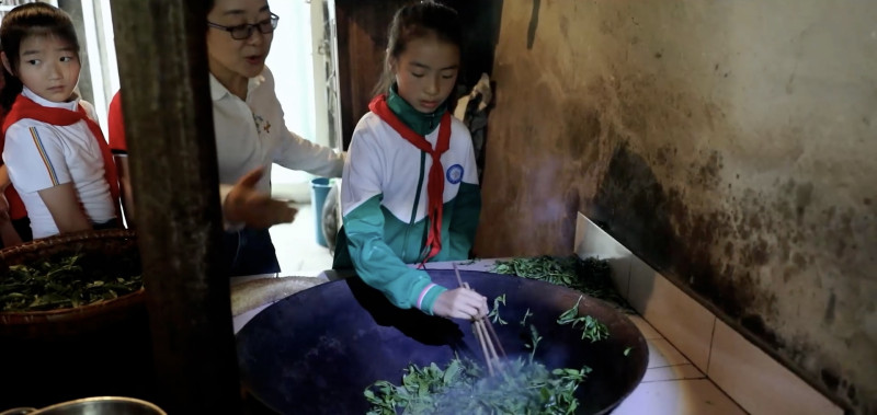 練習(xí)炒茶