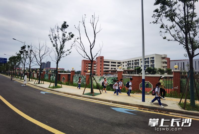 孩子們在新建的連港路上行走。  均為長沙晚報(bào)全媒體記者朱華攝