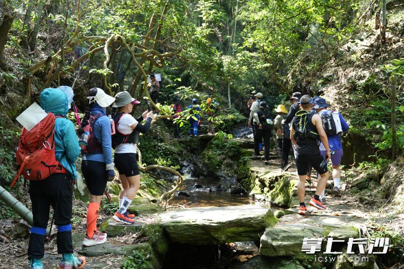 近日,，一群戶外愛好者在瀟湘步道主線瀏陽美人谷至龍王廟路段徒步。長沙晚報通訊員 王偉 攝