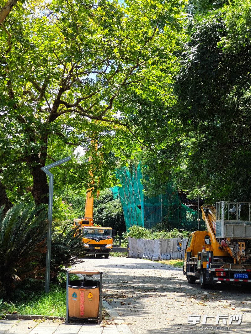 湖南烈士公園中,，大型機械在作業(yè)。