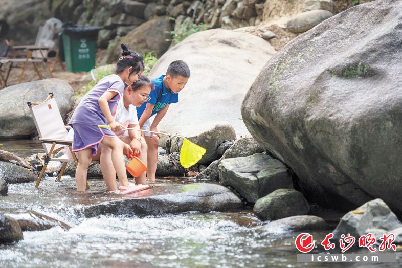 游客們?cè)谖飨獚{谷玩水嬉戲,。 長(zhǎng)沙晚報(bào)全媒體記者 郭雨滴 攝