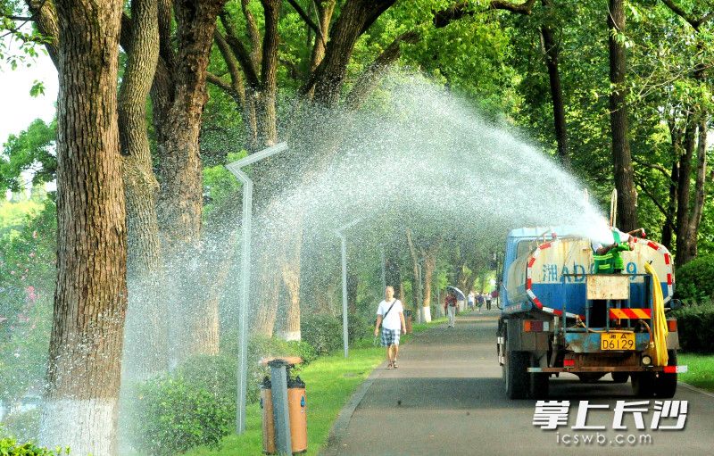 今日上午，湖南烈士公園園林工人在給花草樹(shù)木施水,。  均為長(zhǎng)沙晚報(bào)全媒體記者賀文兵攝