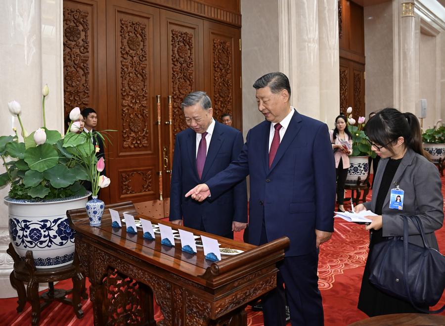2024年8月19日,，中共中央總書記,、國家主席習(xí)近平在北京人民大會堂同來華進(jìn)行國事訪問的越共中央總書記、國家主席蘇林舉行會談,。這是習(xí)近平同蘇林進(jìn)行小范圍茶敘,。新華社記者謝環(huán)馳攝
